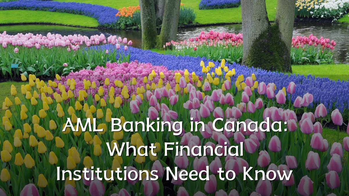 AML Banking in Canada: What Financial Institutions Need to Know
