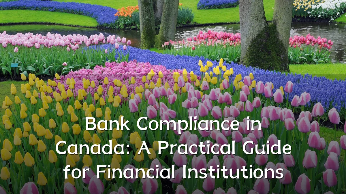Bank Compliance in Canada: A Practical Guide for Financial Institutions
