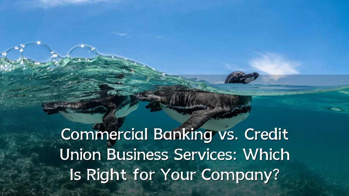 Commercial Banking vs. Credit Union Business Services: Which Is Right for Your Company?