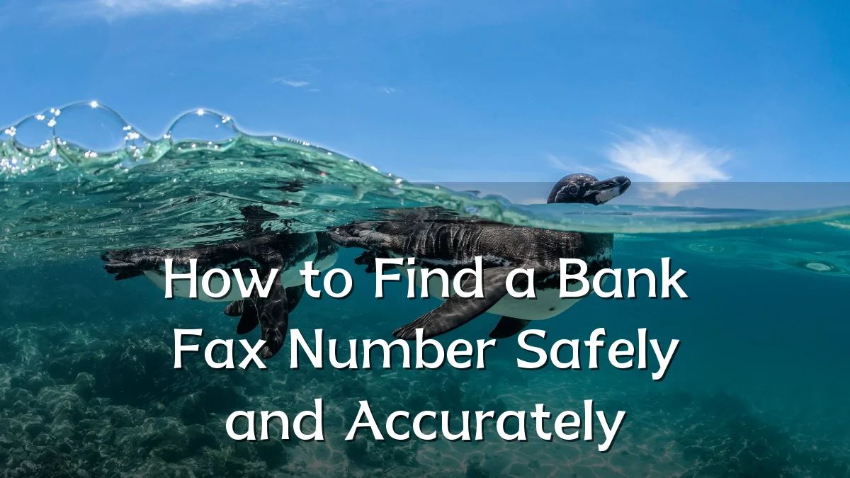 How to Find a Bank Fax Number Safely and Accurately