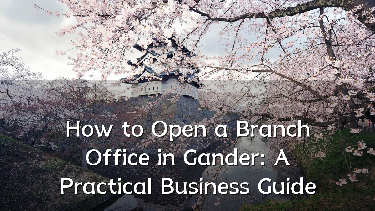How to Open a Branch Office in Gander: A Practical Business Guide
