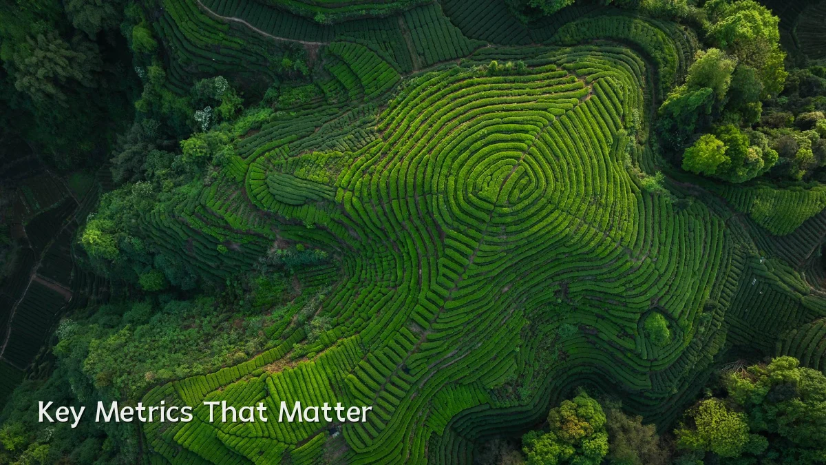 Key Metrics That Matter