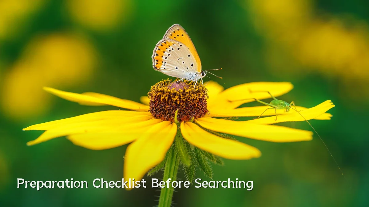 Preparation Checklist Before Searching