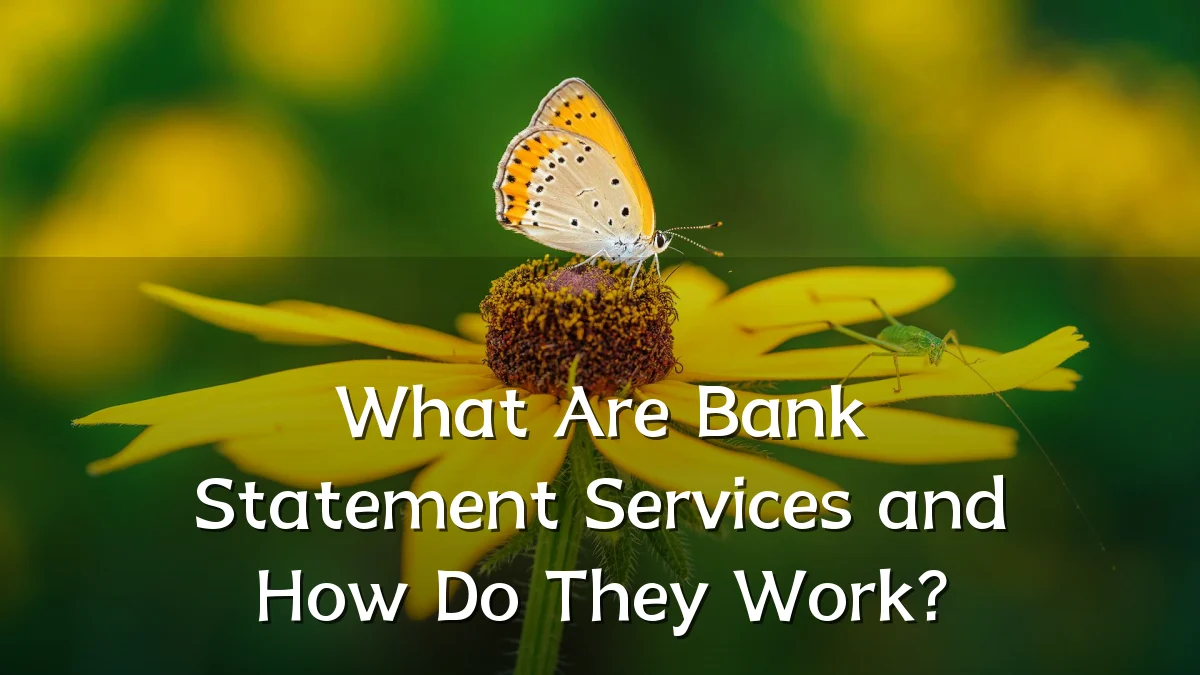What Are Bank Statement Services and How Do They Work?