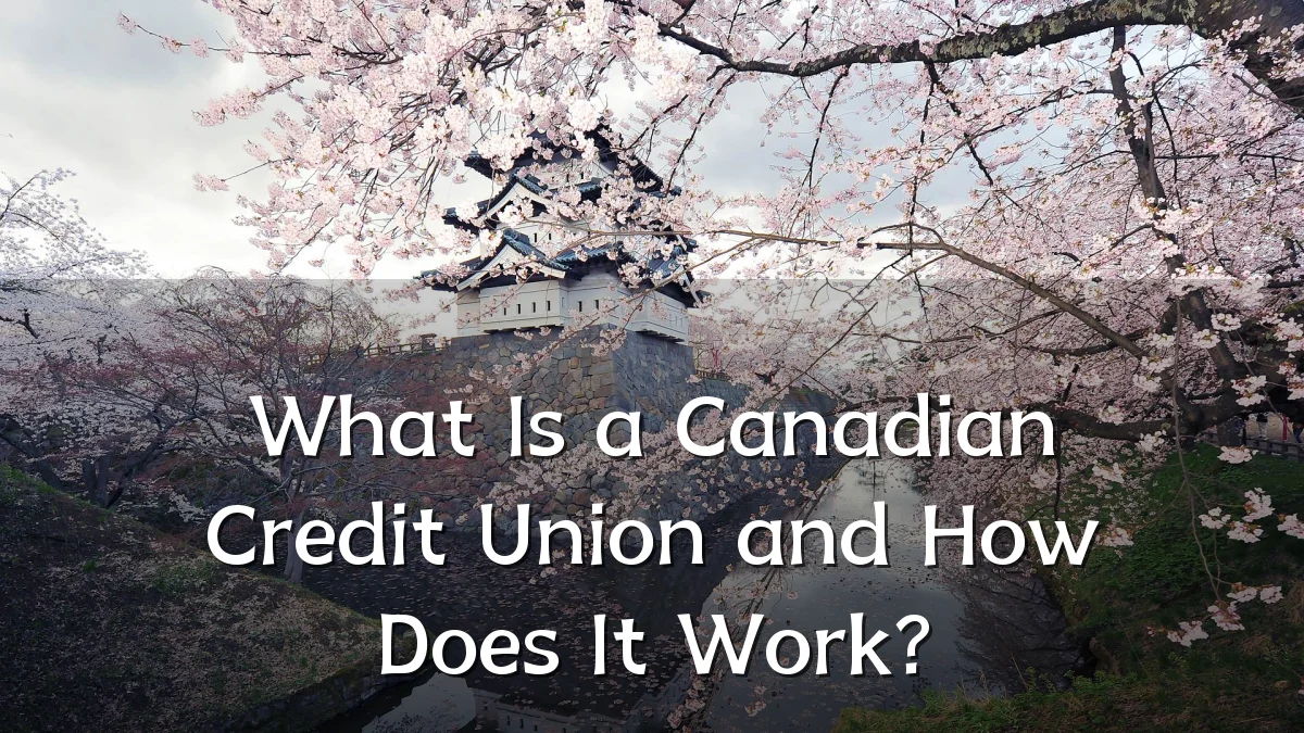 What Is a Canadian Credit Union and How Does It Work?