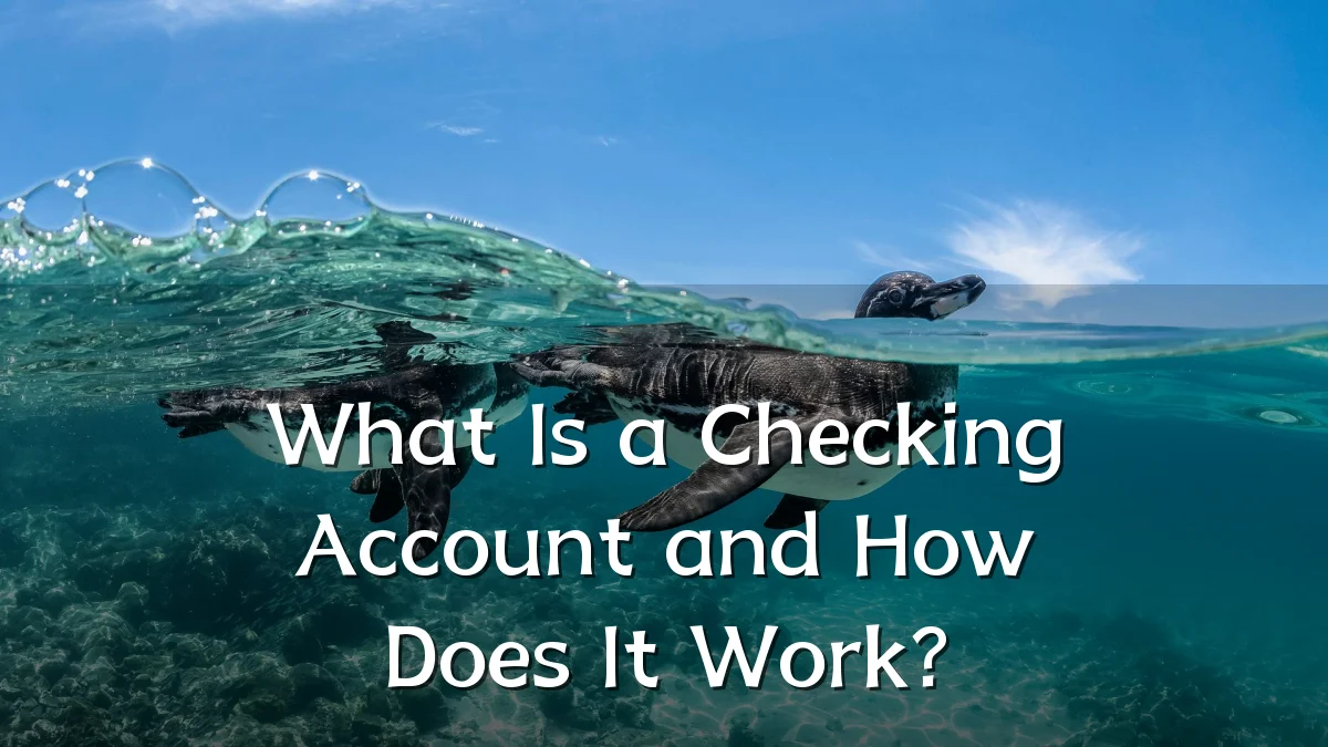 What Is a Checking Account and How Does It Work?