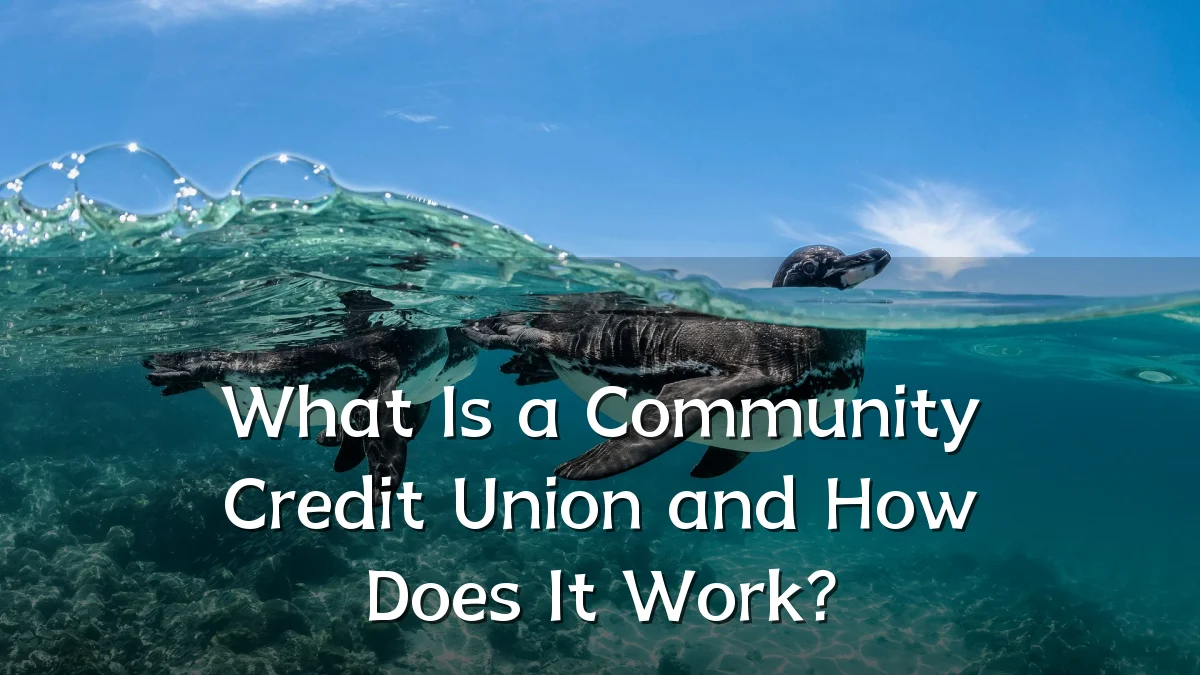 What Is a Community Credit Union and How Does It Work?