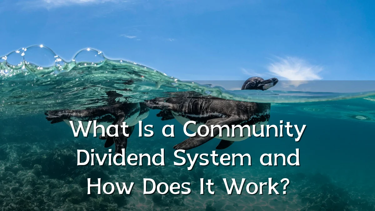 What Is a Community Dividend System and How Does It Work?