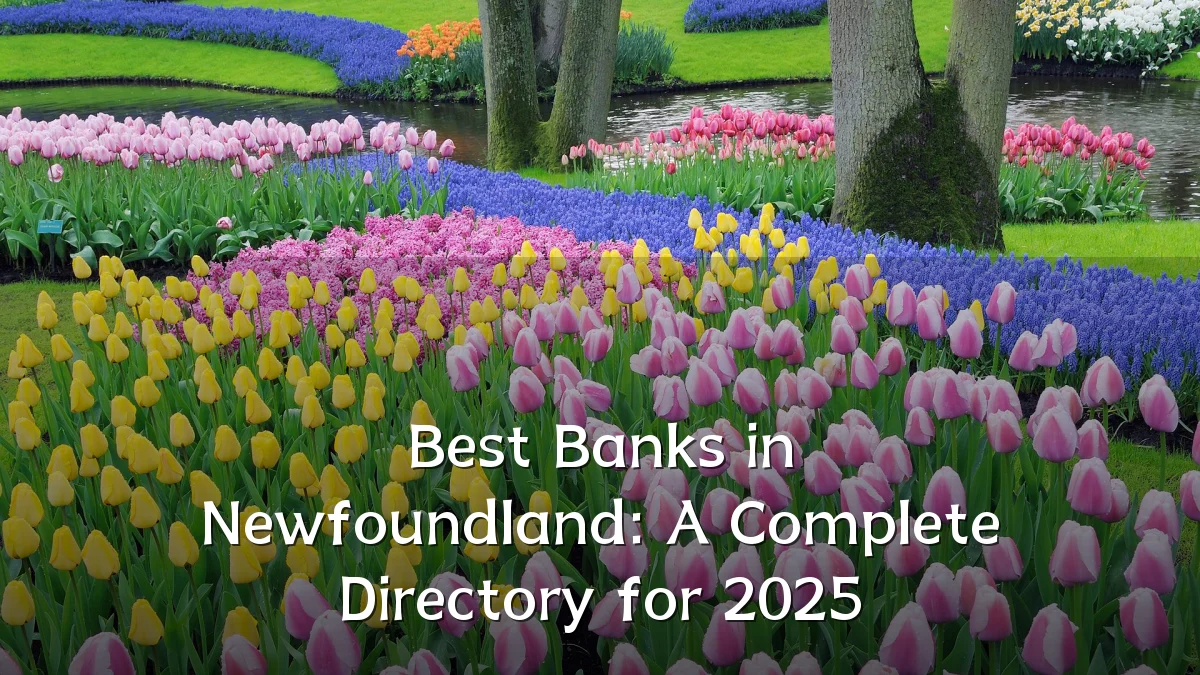 Best Banks in Newfoundland: A Complete Directory for 2025