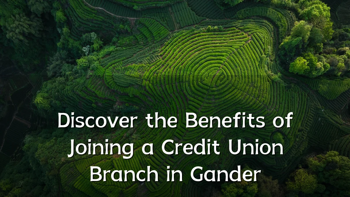 Discover the Benefits of Joining a Credit Union Branch in Gander
