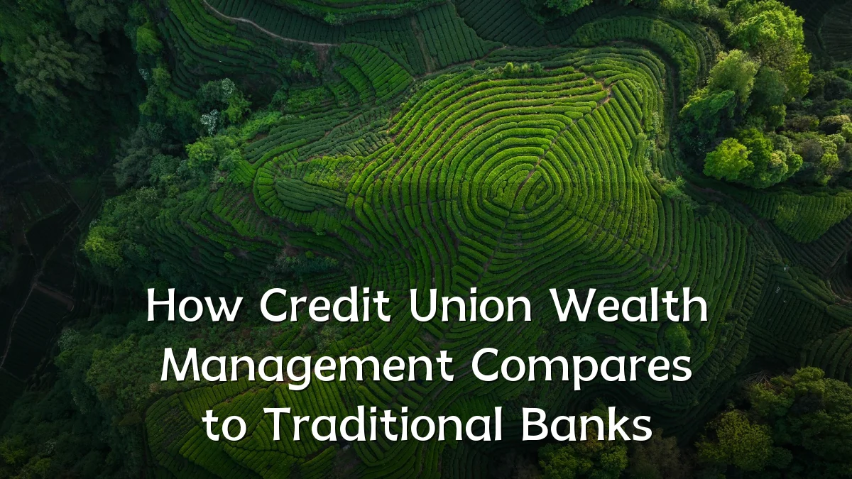 How Credit Union Wealth Management Compares to Traditional Banks