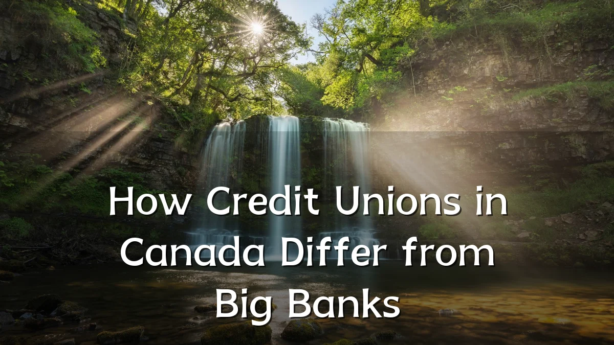 How Credit Unions in Canada Differ from Big Banks