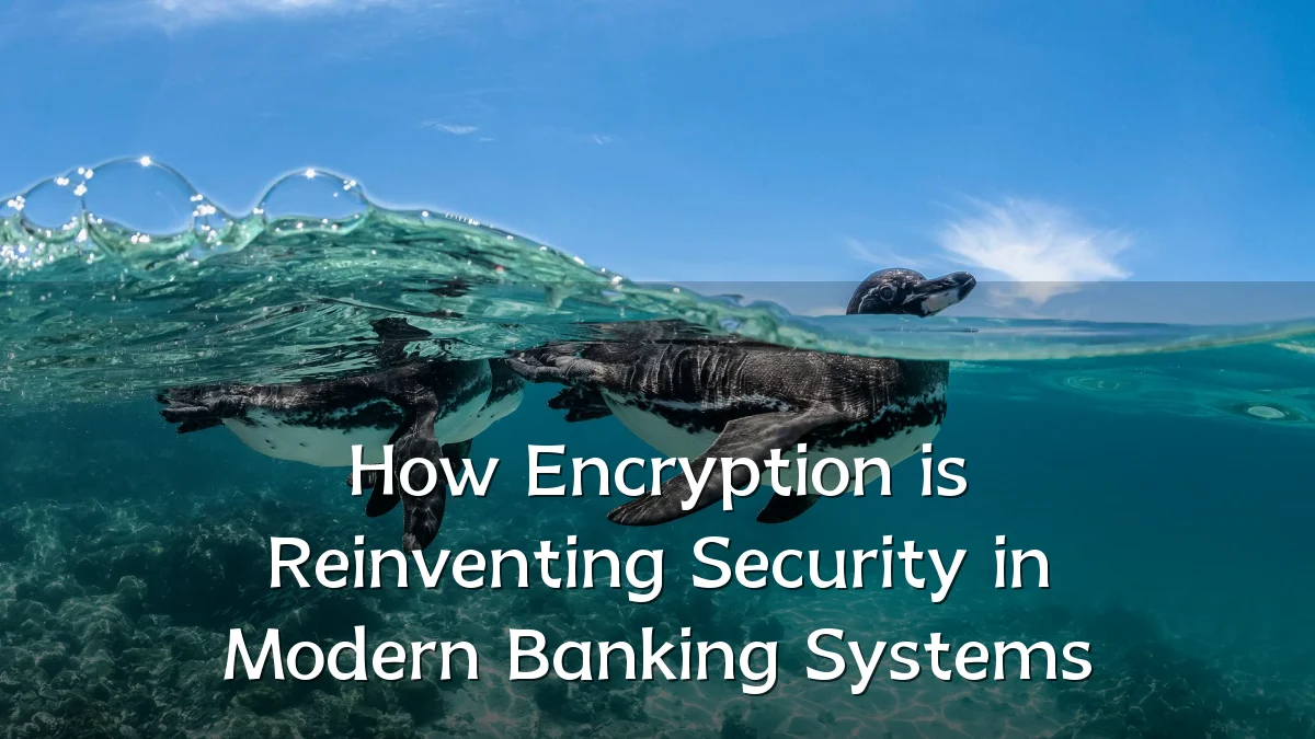 How Encryption is Reinventing Security in Modern Banking Systems