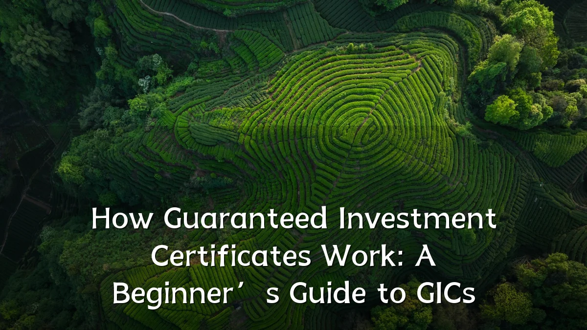How Guaranteed Investment Certificates Work: A Beginner’s Guide to GICs
