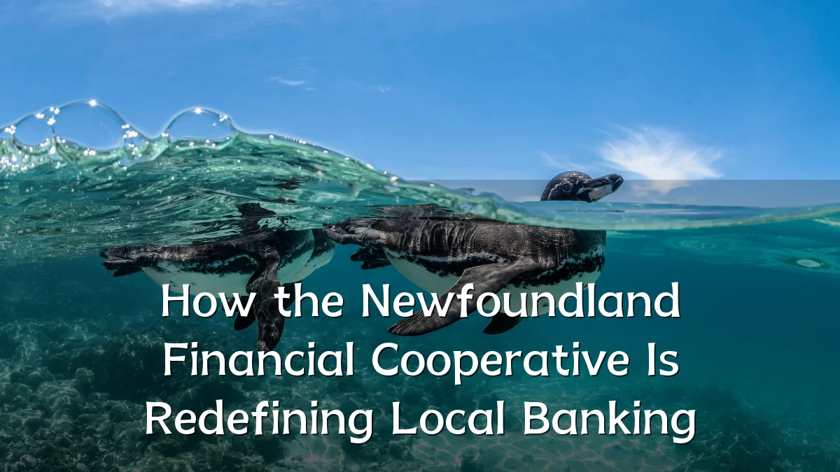 How the Newfoundland Financial Cooperative Is Redefining Local Banking