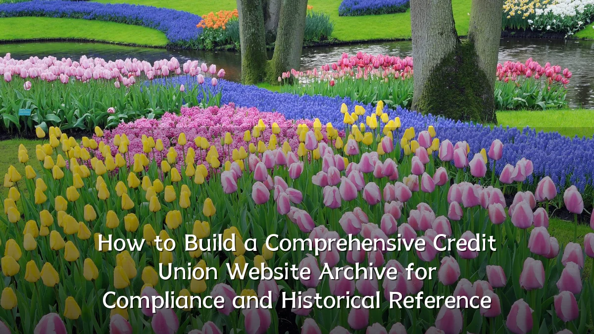How to Build a Comprehensive Credit Union Website Archive for Compliance and Historical Reference