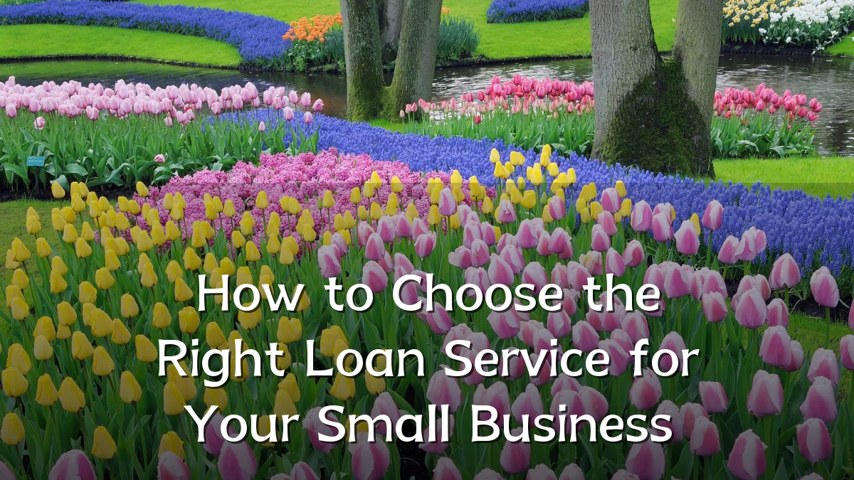 How to Choose the Right Loan Service for Your Small Business