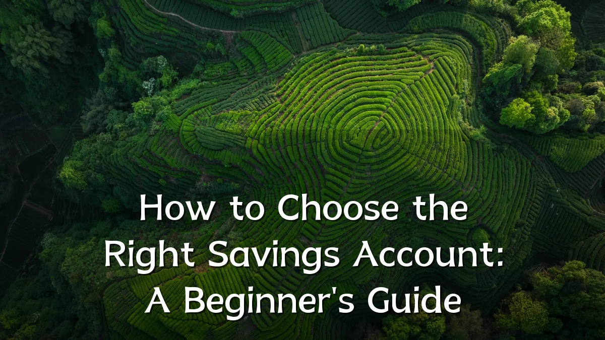 How to Choose the Right Savings Account: A Beginner's Guide