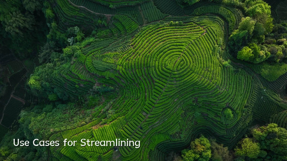 Use Cases for Streamlining