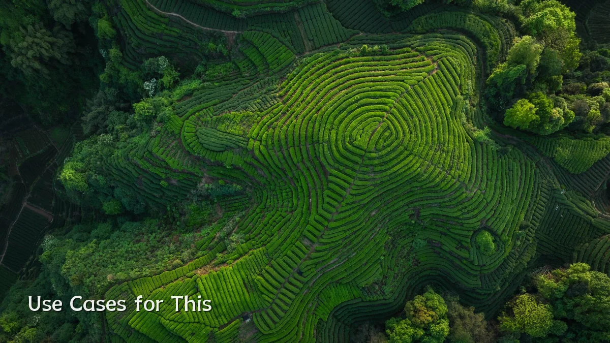 Use Cases for This