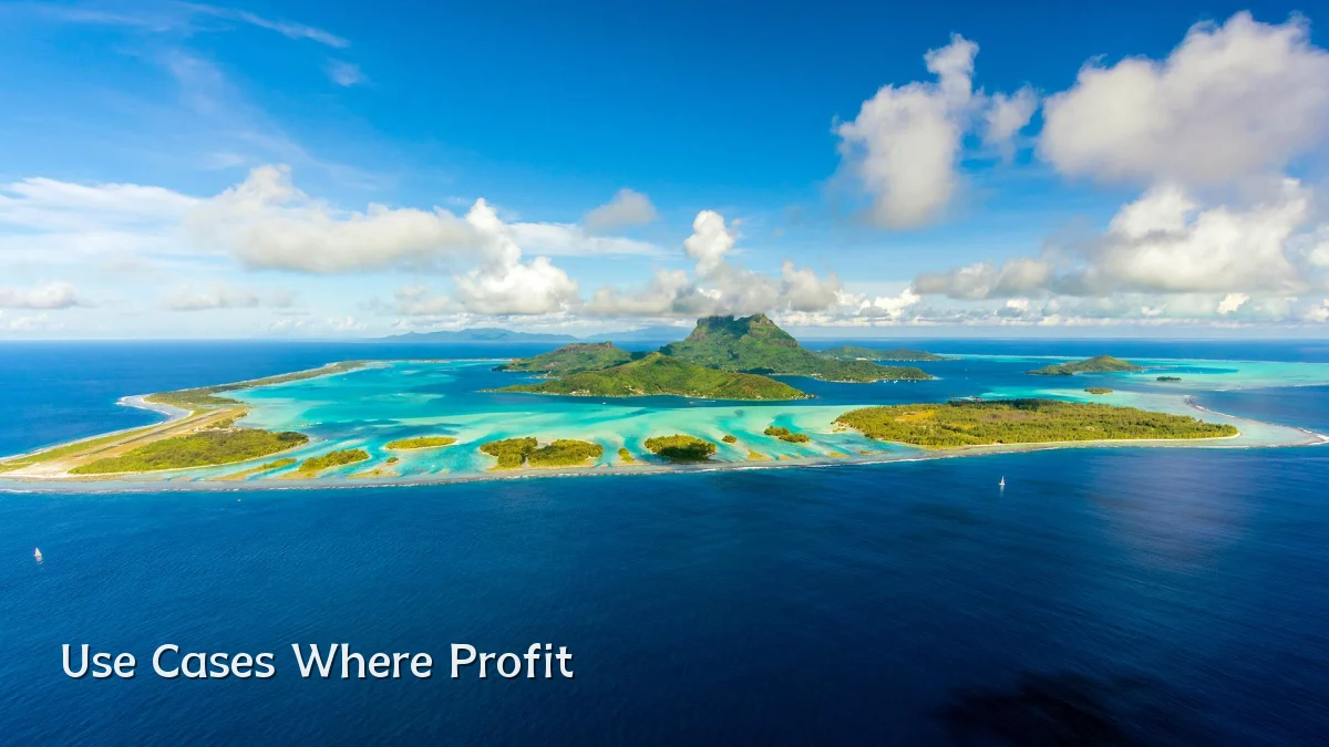 Use Cases Where Profit