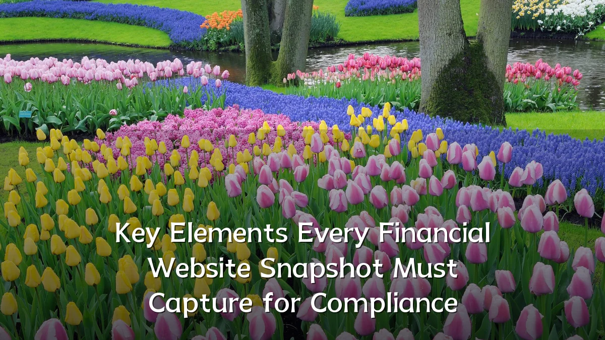 Key Elements Every Financial Website Snapshot Must Capture for Compliance