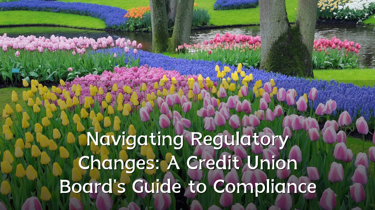 Navigating Regulatory Changes: A Credit Union Board's Guide to Compliance