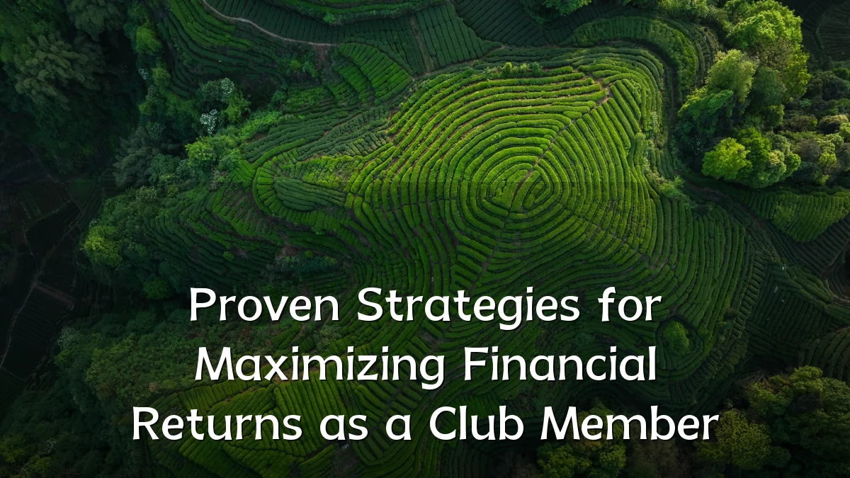 Proven Strategies for Maximizing Financial Returns as a Club Member