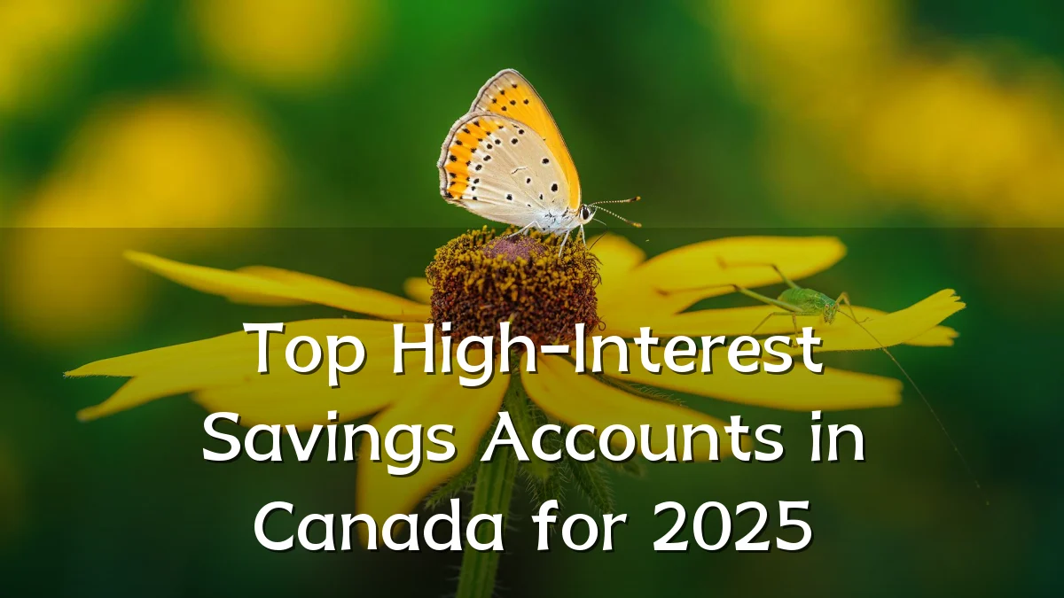 Top High-Interest Savings Accounts in Canada for 2025