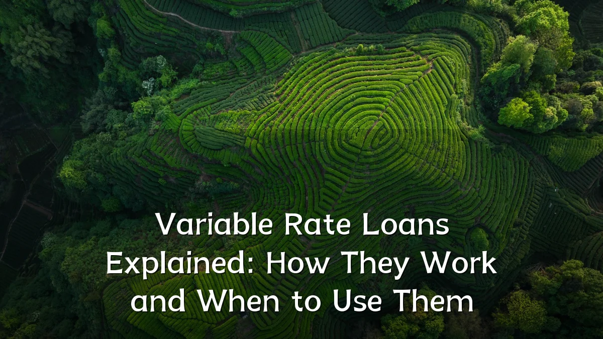 Variable Rate Loans Explained: How They Work and When to Use Them