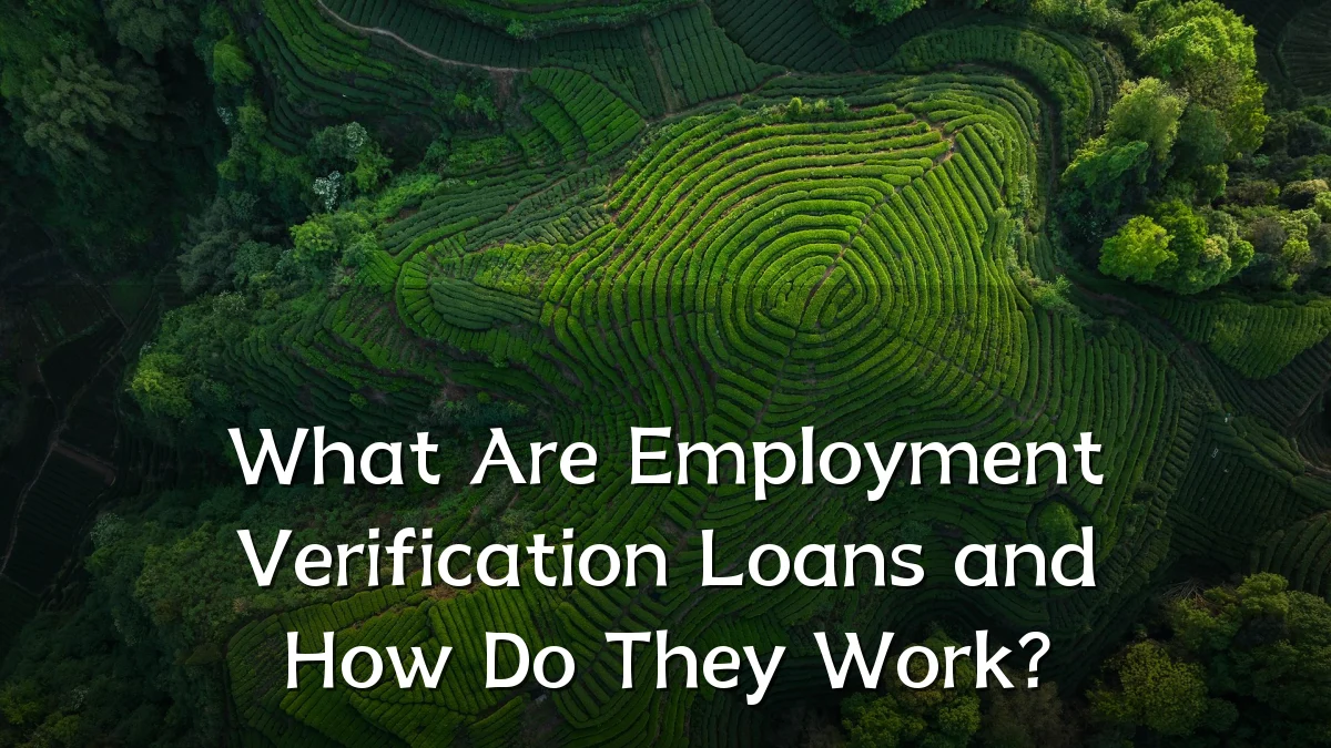 What Are Employment Verification Loans and How Do They Work?