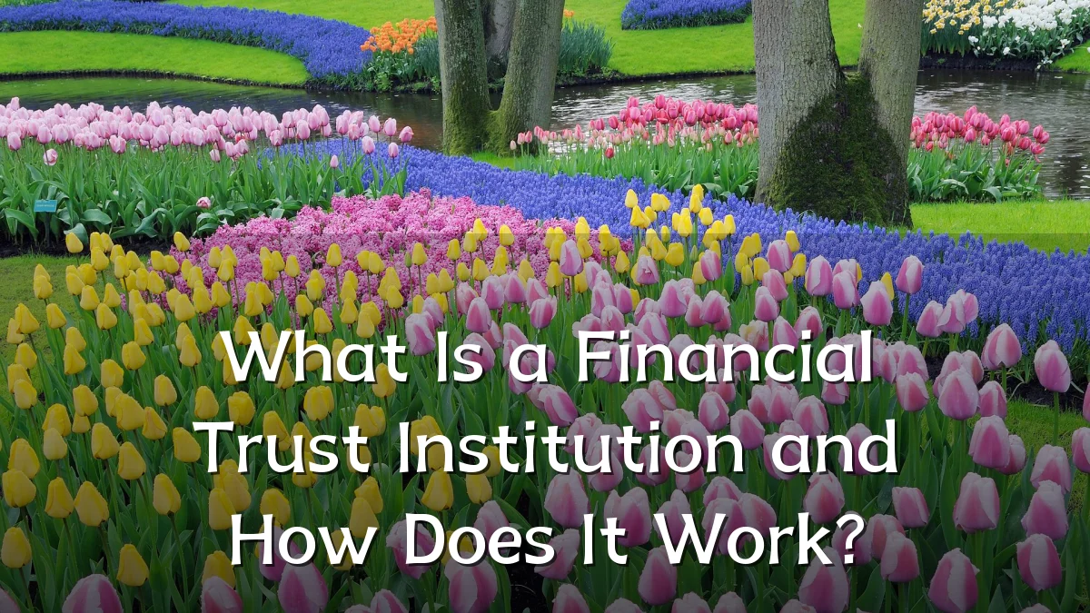 What Is a Financial Trust Institution and How Does It Work?