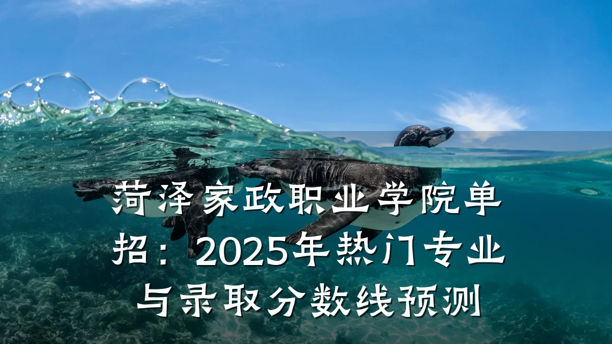 菏泽家政职业学院单招:2025年热门专业与录取分数线预测