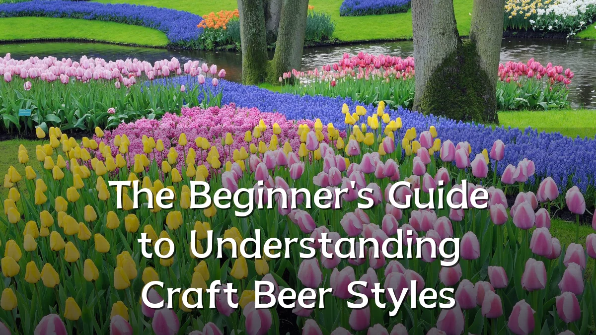 The Beginner's Guide to Understanding Craft Beer Styles
