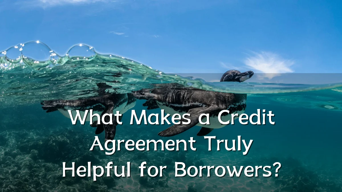What Makes a Credit Agreement Truly Helpful for Borrowers?