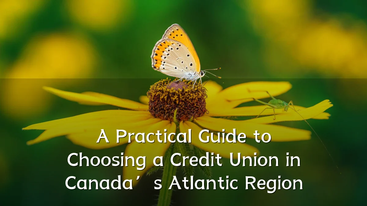 A Practical Guide to Choosing a Credit Union in Canada’s Atlantic Region