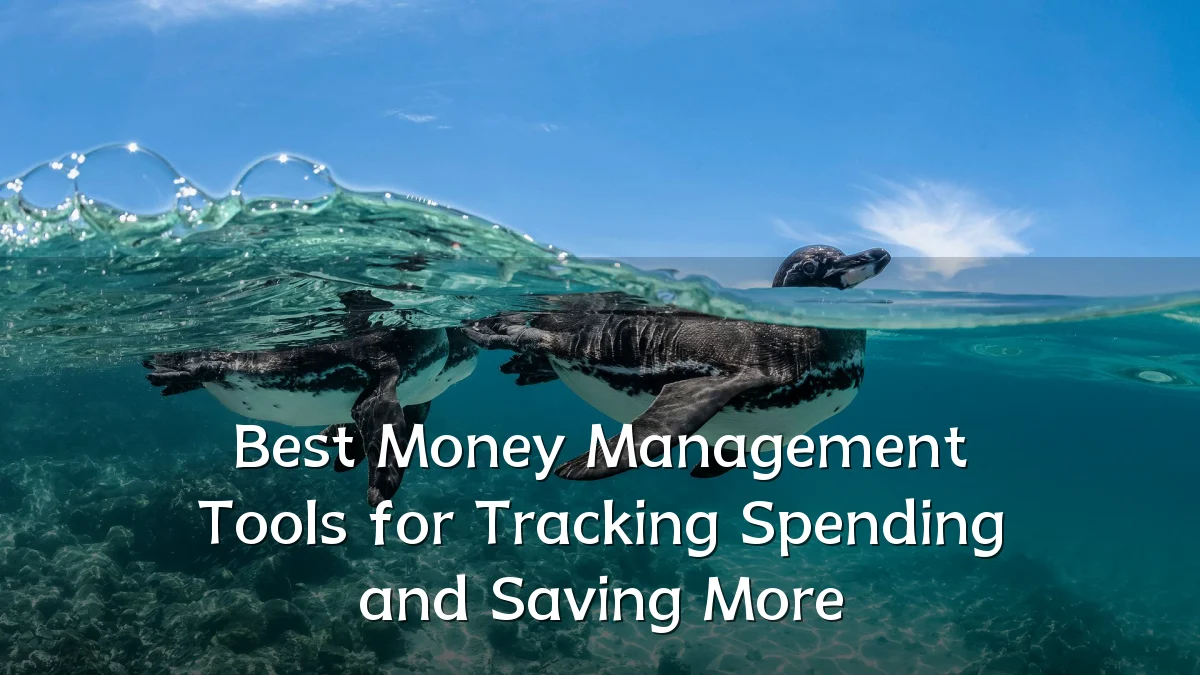 Best Money Management Tools for Tracking Spending and Saving More