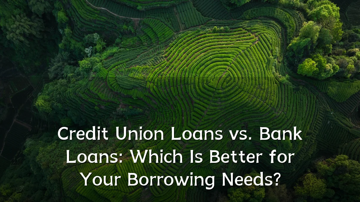 Credit Union Loans vs. Bank Loans: Which Is Better for Your Borrowing Needs?