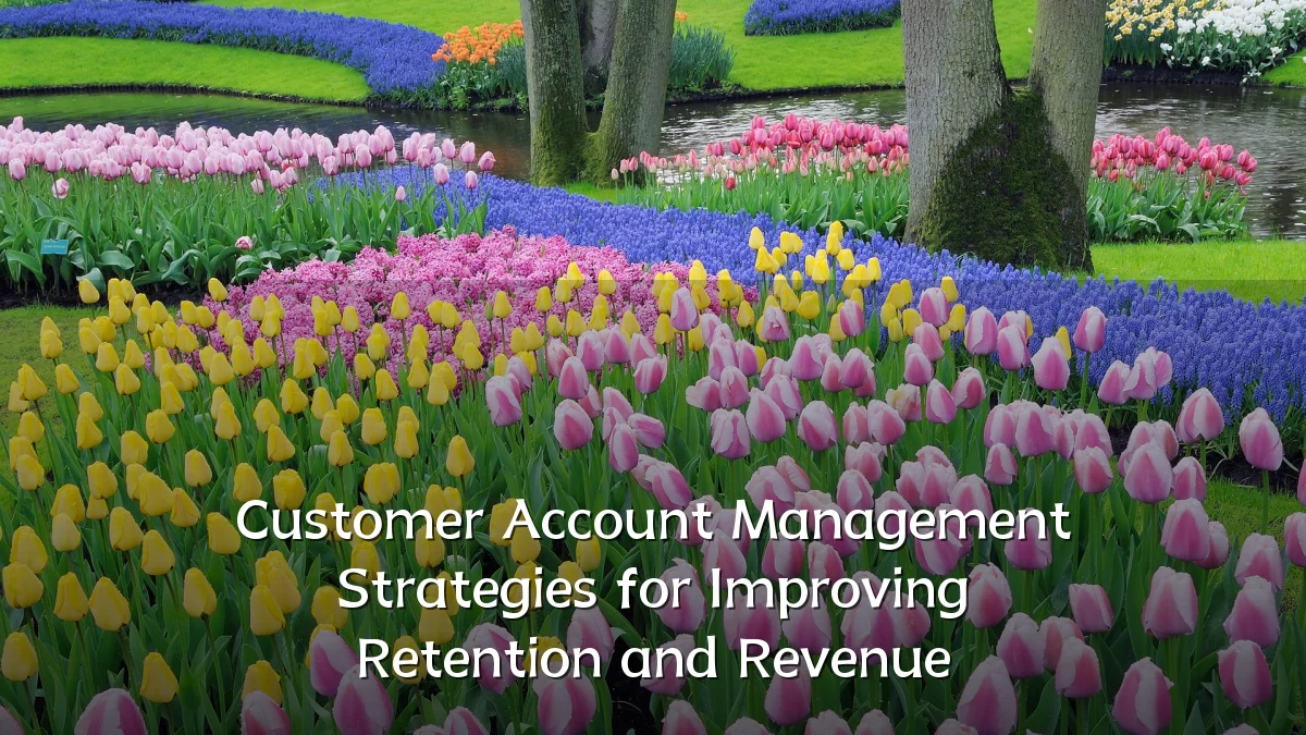 Customer Account Management Strategies for Improving Retention and Revenue