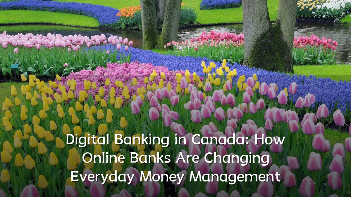 Digital Banking in Canada: How Online Banks Are Changing Everyday Money Management