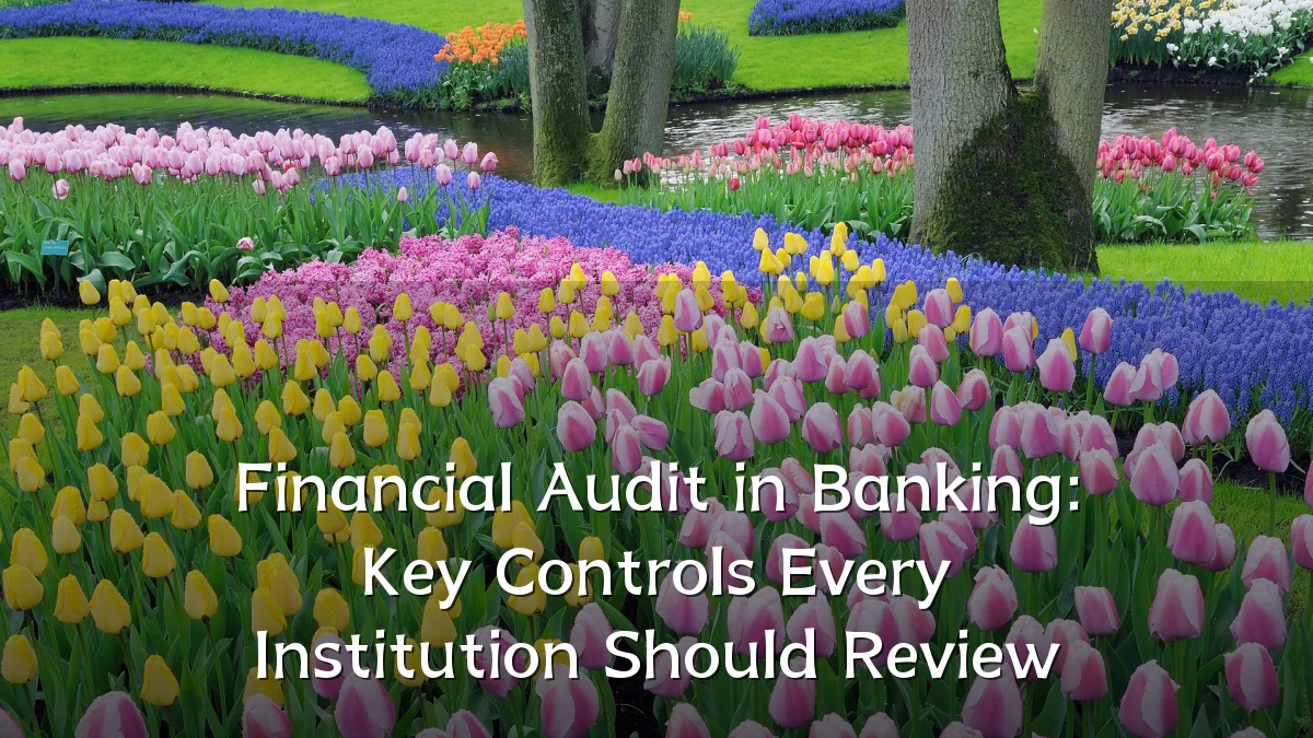Financial Audit in Banking: Key Controls Every Institution Should Review