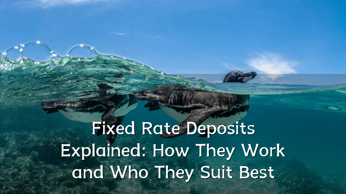Fixed Rate Deposits Explained: How They Work and Who They Suit Best