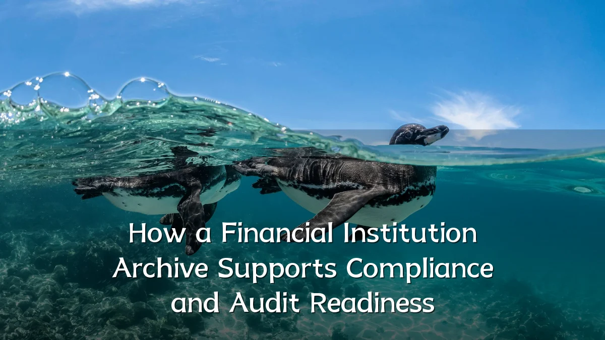 How a Financial Institution Archive Supports Compliance and Audit Readiness