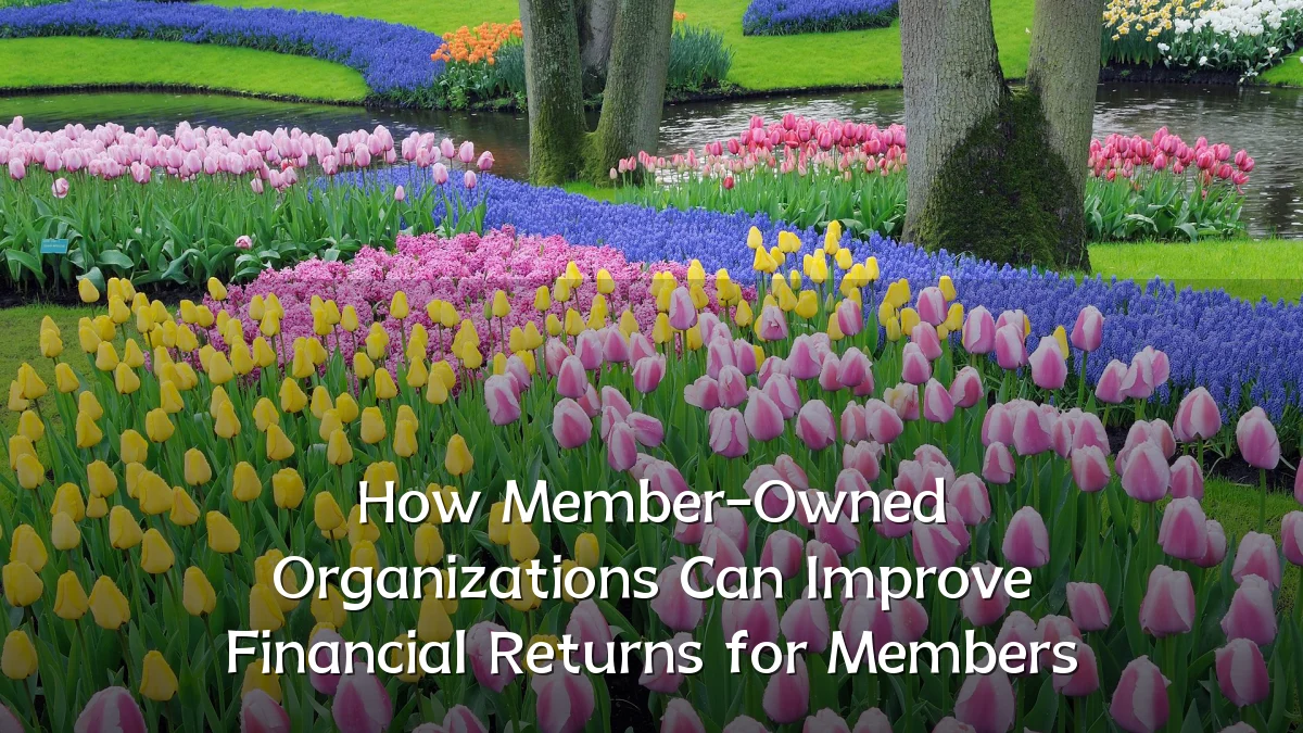 How Member-Owned Organizations Can Improve Financial Returns for Members