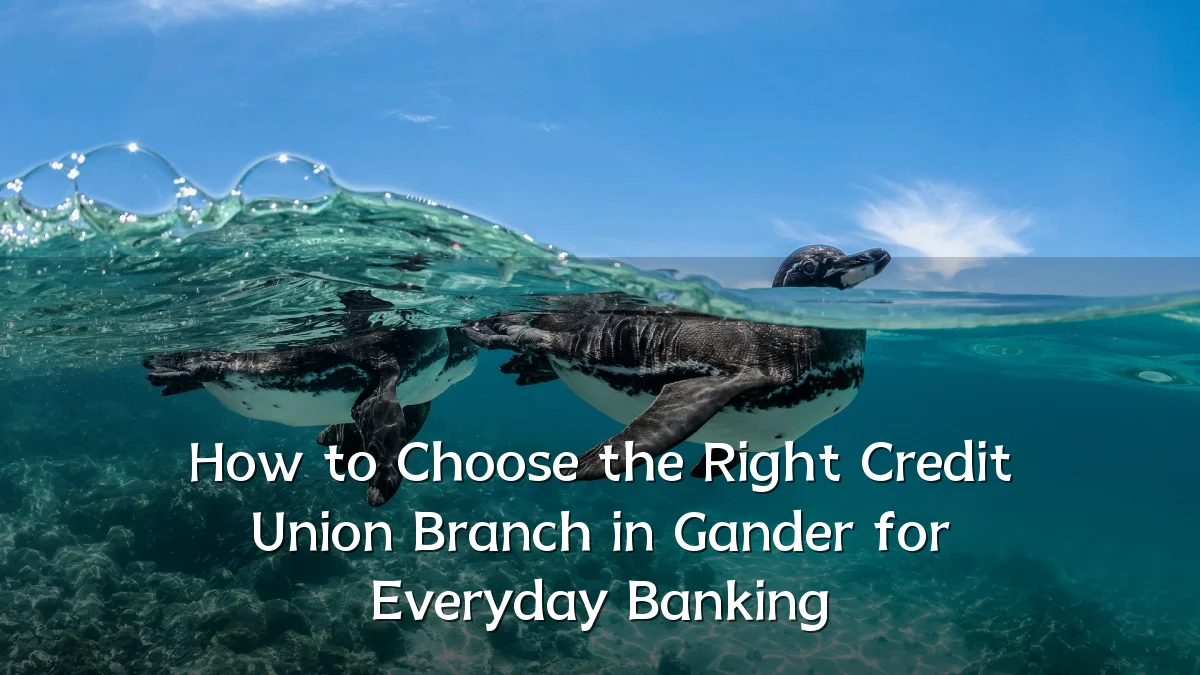 How to Choose the Right Credit Union Branch in Gander for Everyday Banking