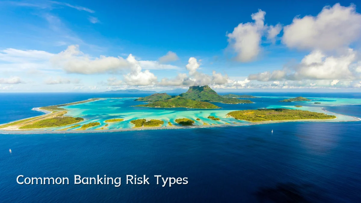 Common Banking Risk Types