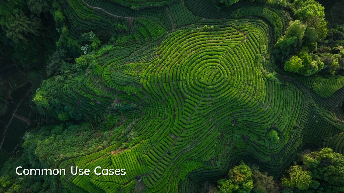 Common Use Cases
