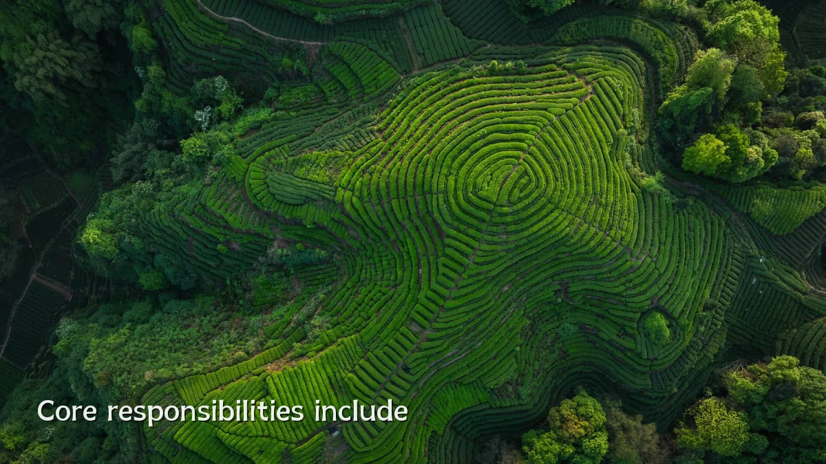 Core responsibilities include