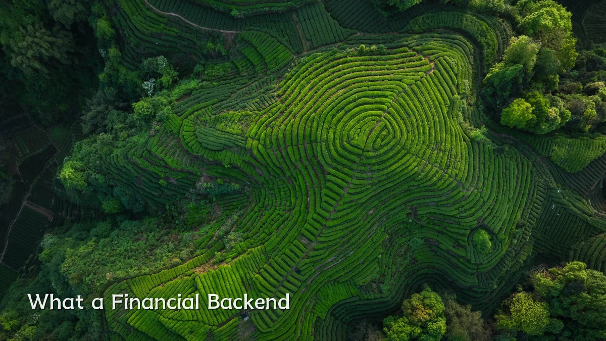 What a Financial Backend