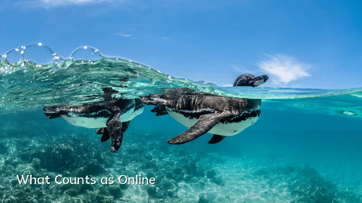 What Counts as Online